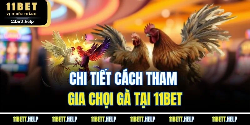 Chi tiết cách tham gia chọi gà tại 11BET